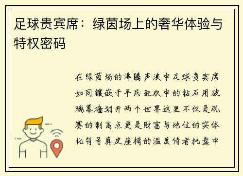 足球贵宾席：绿茵场上的奢华体验与特权密码